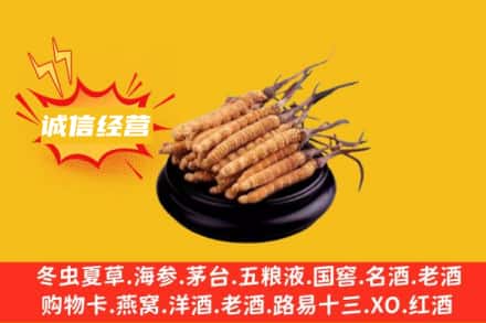 岐山县回收冬虫夏草